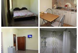 Daily Apartment Rent, Old building, Borjomi