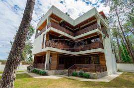 Daily Rent, 7 Room, Ozurgeti , Shekvetili