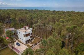 Daily Rent, 7 Room, Ozurgeti , Shekvetili