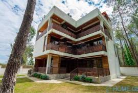 Daily Rent, Shekvetili