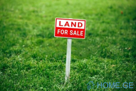 Land For Sale, Zaridzeebi 