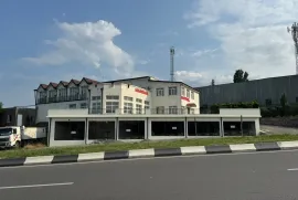 For Rent, Special, Telavi