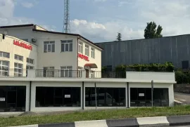 For Rent, Special, Telavi