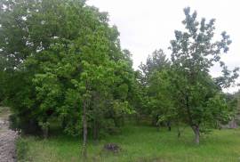 Land For Sale, Norio 