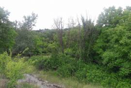 Land For Sale, Norio 