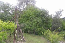 Land For Sale, Norio 