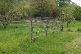 Land For Sale, Norio 