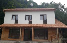 For Sale , Hotel, Ananuri 