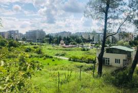 Land For Sale, Non Agricultural