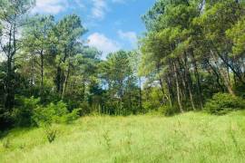 Land For Sale, Non Agricultural
