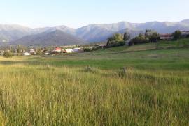 Land For Sale, Tsikhisjvari 