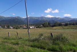 Land For Sale, Tsikhisjvari 