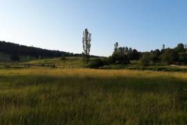 Land For Sale, Tsikhisjvari 