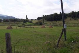 Land For Sale, Tsikhisjvari 