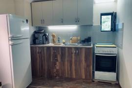 Daily Rent, 1 Room, Borjomi , Borjomi