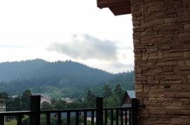Daily Rent, 1 Room, Borjomi , Bakuriani