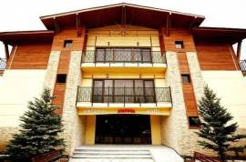 Daily Rent, 1 Room, Borjomi , Bakuriani