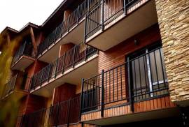 Daily Rent, 1 Room, Borjomi , Bakuriani