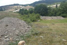 Land For Sale, Agricultural, Zekota