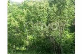 Land For Sale, Dzegvi