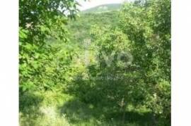 Land For Sale, Dzegvi