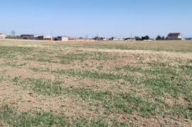 Land For Sale, Samgori