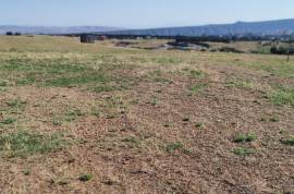 Land For Sale, Samgori