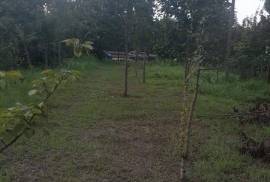 House For Sale, 7 Room, Lanchkhuti, Lesa