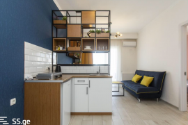 Daily Apartment Rent, New building, saburtalo