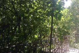 House For Sale, 4 Room, Suburbs of Tbilisi, Tskneti