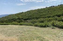 Land For Sale, Non Agricultural, Agaraki