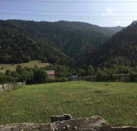 იყიდება მიწის ნაკვეთი, სასოფლო - სამეურნეო