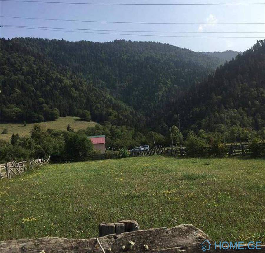 იყიდება მიწის ნაკვეთი, სასოფლო - სამეურნეო
