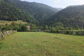 იყიდება მიწის ნაკვეთი, სასოფლო - სამეურნეო