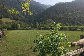 იყიდება მიწის ნაკვეთი, სასოფლო - სამეურნეო