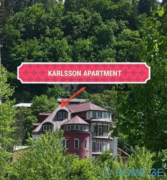 Daily Rent, Hotel, Borjomi