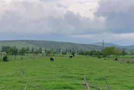 Продается Земля, Сельскохозяйственные, Мухрани