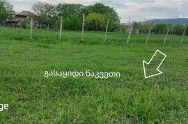 Land For Sale, Mukhrani