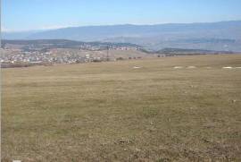 Land For Sale, Tabakhmela