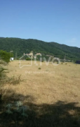 იყიდება მიწის ნაკვეთი, სასოფლო - სამეურნეო, არაგვისპირი