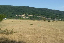 იყიდება მიწის ნაკვეთი, სასოფლო - სამეურნეო, არაგვისპირი