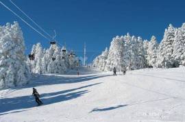 Продается квартира, 2 Kомнатная, Новостройка, Боржомский район, Бакуриани