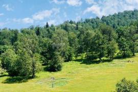 Продается квартира, 2 Kомнатная, Новостройка, Боржомский район, Бакуриани