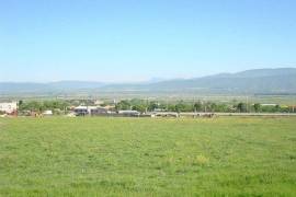 Land For Sale, Tserovani