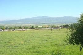 Land For Sale, Agricultural, Tserovani