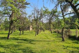 Land For Sale, Aragvispiri