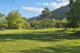 Land For Sale, Aragvispiri