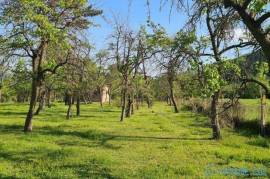 Land For Sale, Aragvispiri