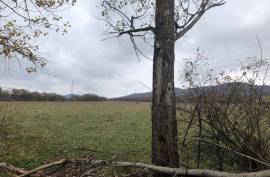 Land For Sale, Jvara