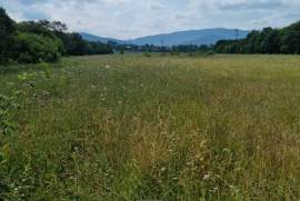 Land For Sale, Jvara